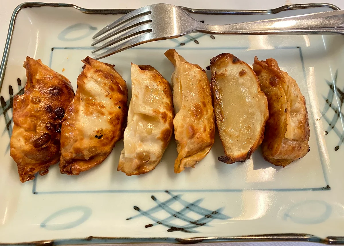 Pan Fried Pork Dumplings 6 锅贴